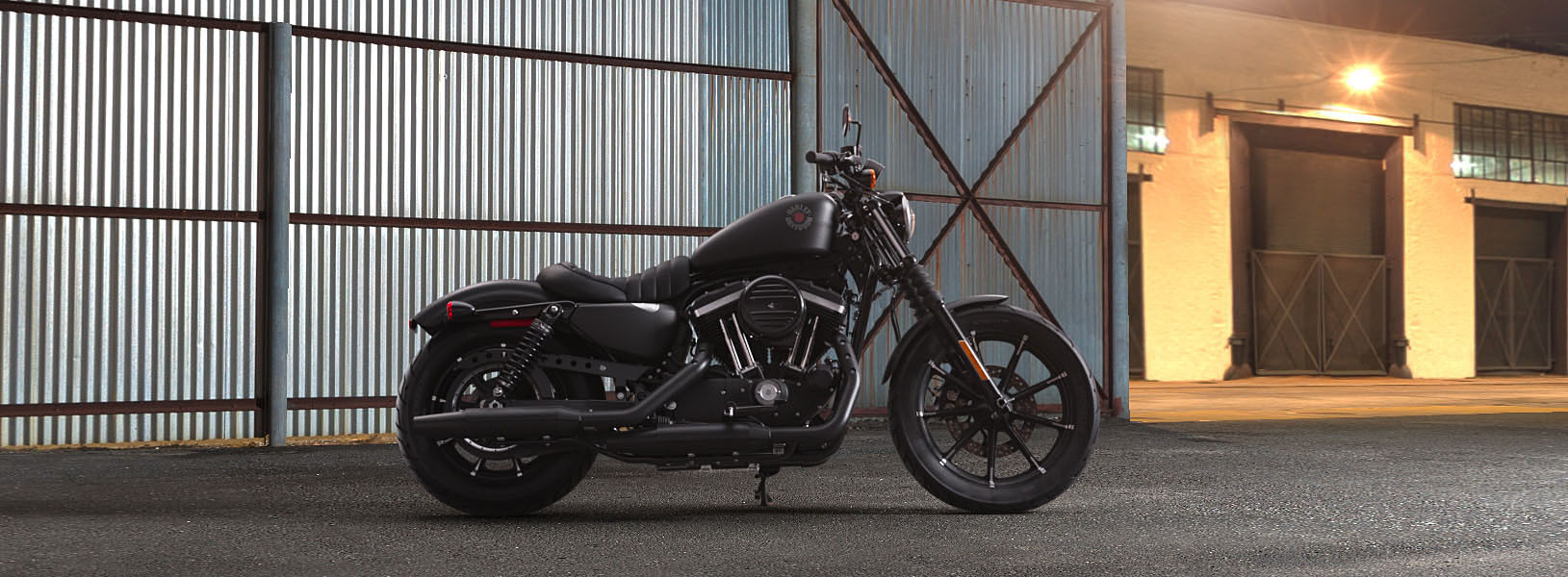 Iron 883™