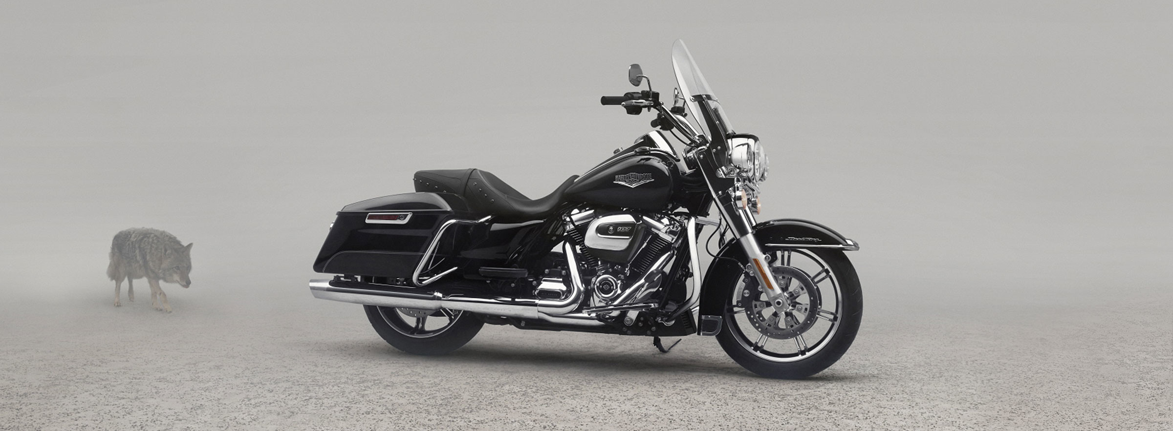 Road King<sup>®</sup>