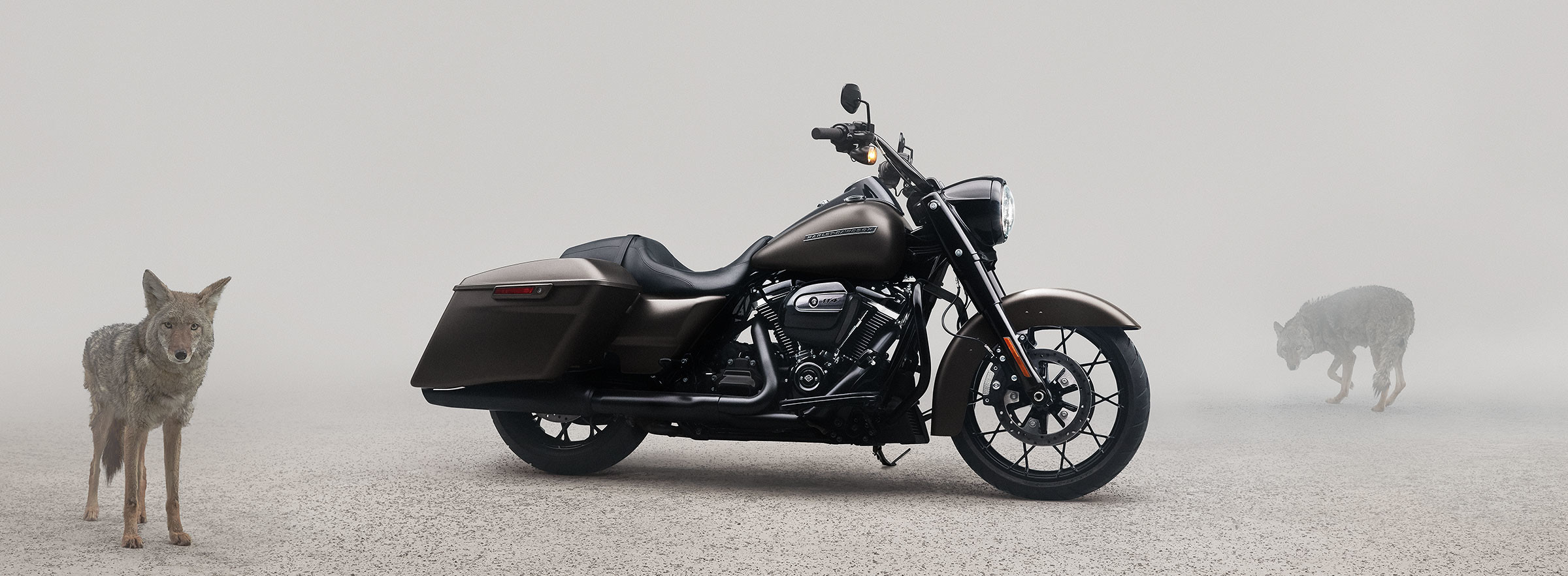 Road King<sup>®</sup> Special