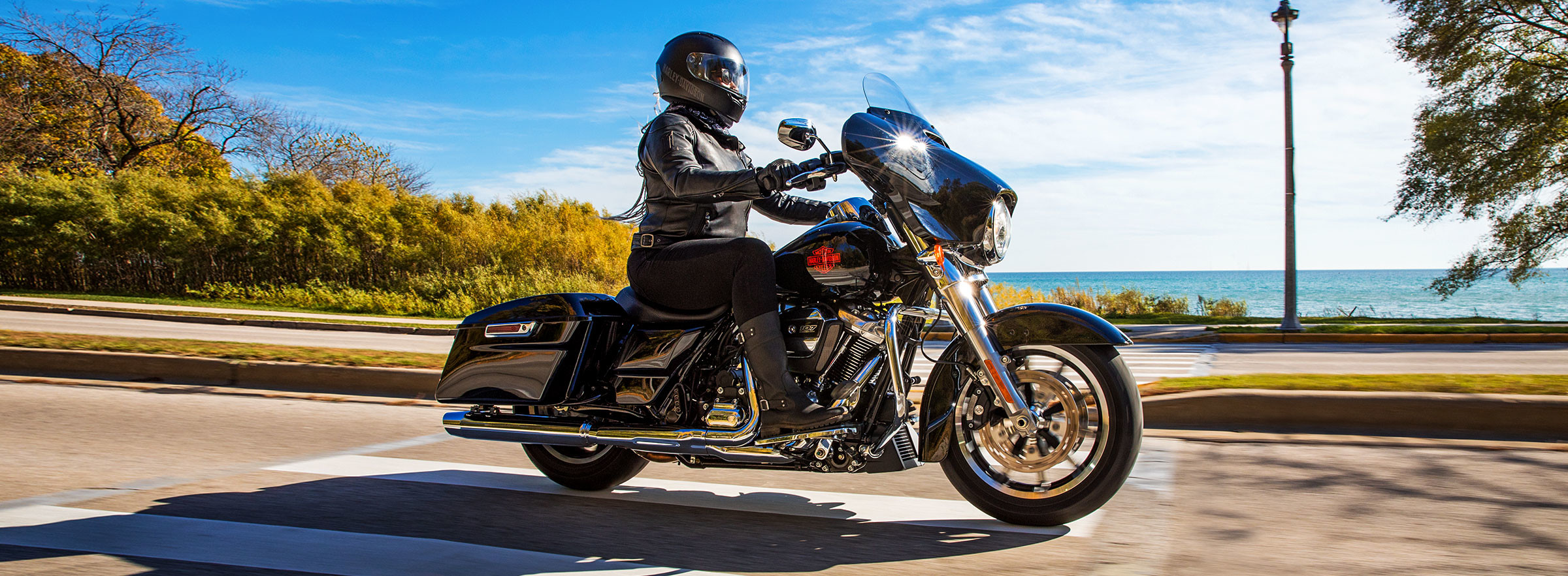 Electra Glide<sup>®</sup> Standard