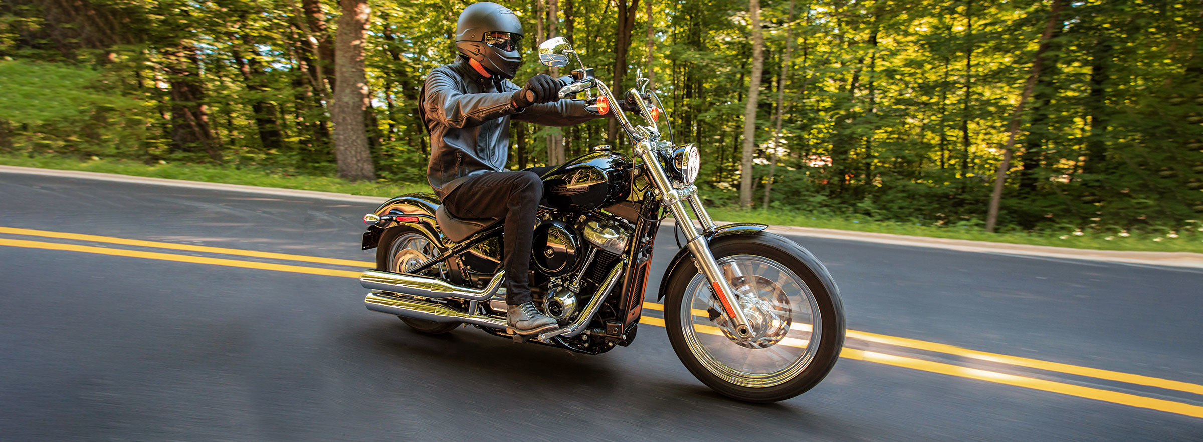 Softail Standard<sup>®</sup>