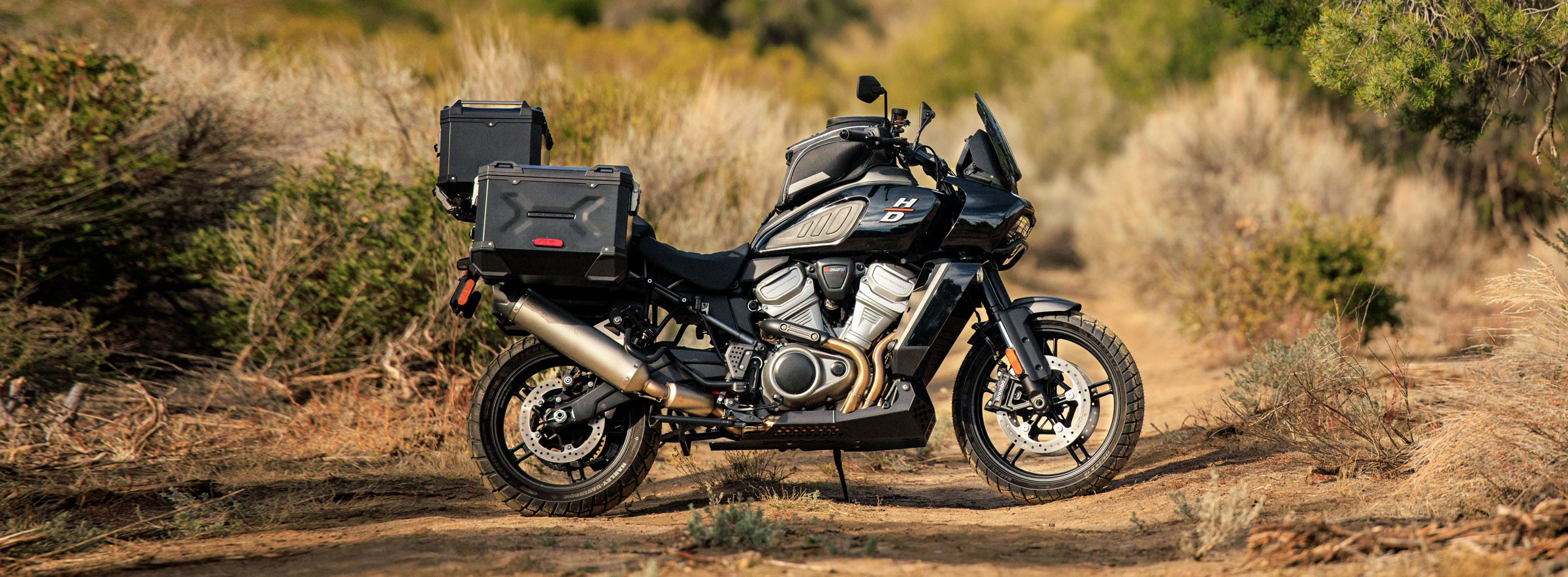 Pan America™ 1250