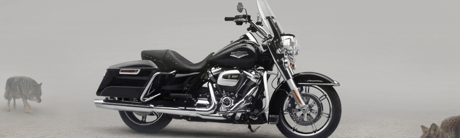 2022 Harley-Davidson® for sale in Thunder Tower West H-D®, Morrow, Georgia