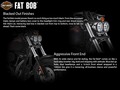 2016 Harley-Davidson® FXDF Dyna® Fat Bob® thumbnail