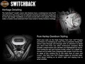 2016 Harley-Davidson® FLD Dyna® Switchback™ thumbnail