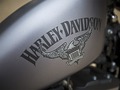2016 Harley-Davidson® XL883N Sportster® Iron 883™ thumbnail