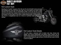 2016 Harley-Davidson® FLSTF Softail® Fat Boy® thumbnail