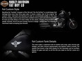 2016 Harley-Davidson® FLSTFB Softail® Fat Boy® Lo thumbnail
