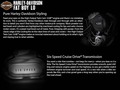2016 Harley-Davidson® FLSTFB Softail® Fat Boy® Lo thumbnail