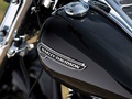 2016 Harley-Davidson® FLRT Freewheeler® thumbnail