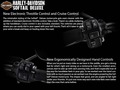 2016 Harley-Davidson® FLSTN Softail® Deluxe thumbnail