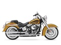 2016 Harley-Davidson® FLSTN Softail® Deluxe thumbnail