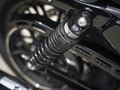 2016 Harley-Davidson® XL1200X Sportster® Forty-Eight® thumbnail