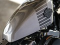 2016 Harley-Davidson® XL1200X Sportster® Forty-Eight® thumbnail