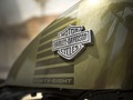 2016 Harley-Davidson® XL1200X Sportster® Forty-Eight® thumbnail