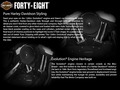 2016 Harley-Davidson® XL1200X Sportster® Forty-Eight® thumbnail